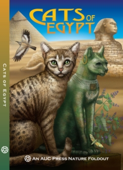 6 COVER Cats of Egypt with Spine